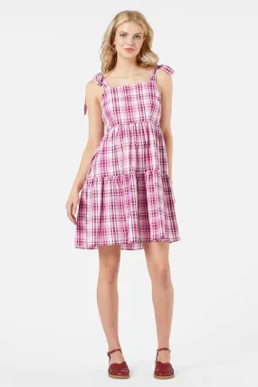 Andie Check Sundress