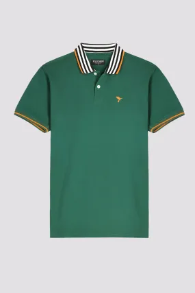 Green Contrast Striped Collar Polo Shirt - A24 - MP0245R