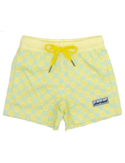 LD Shordees Swim